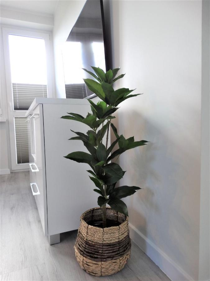 Apartament Centrum 슈비노우이스쳬 외부 사진